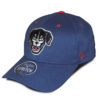 Flex Fit Saltdogs Front Dog Team Hat - Navy