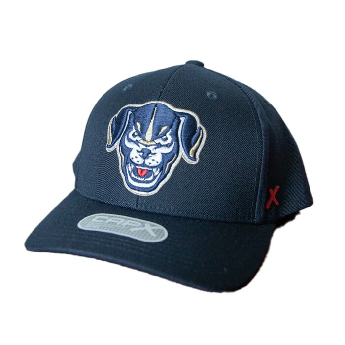 Saltdogs Logo Hat