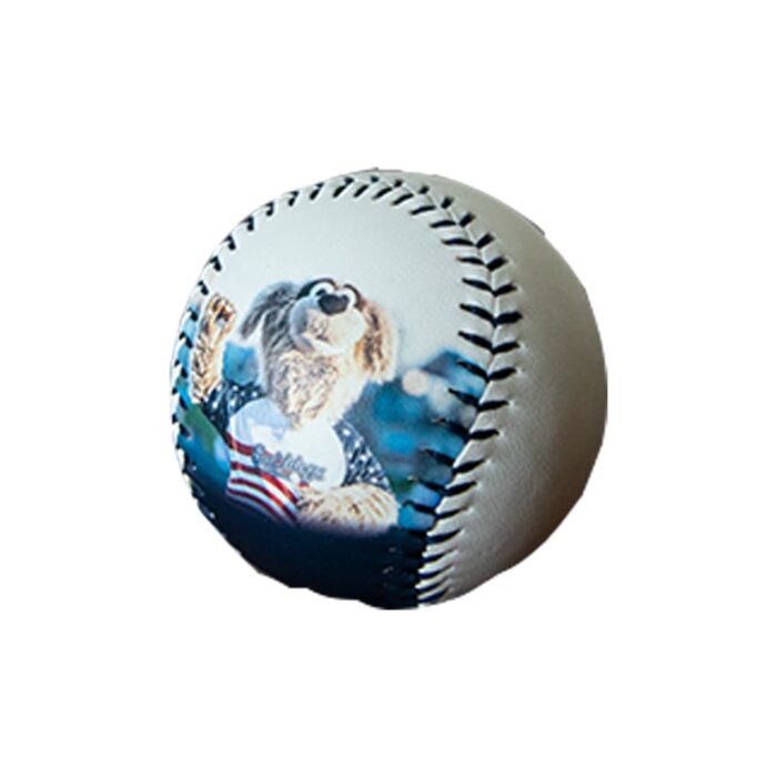 Saltdogs Homer Logo Baseball